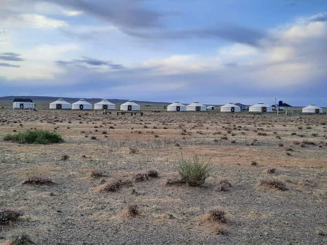 홍고르엘스/고비투굴캠프